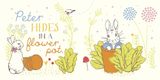  PETER RABBIT: HELLO PETER! 