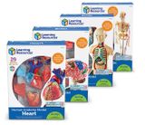  BỘ GIẢI PHẪU CƠ THỂ NGƯỜI - ANATOMY MODELS BUNDLE SET 