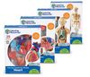  BỘ GIẢI PHẪU CƠ THỂ NGƯỜI - ANATOMY MODELS BUNDLE SET 
