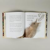  THE SONG OF THE NIGHTINGALE 