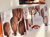  FOX : A CIRCLE OF LIFE STORY 