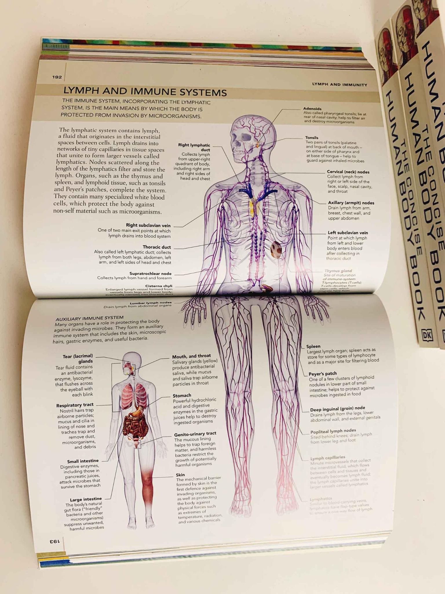 THE CONCISE HUMAN BODY BOOK AN ILLUSTRATED GUIDE TO ITS STRUCTURE, FU