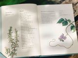  THE GARDENER'S COMPANION TO MEDICINAL PLANTS : AN A-Z OF HEALING PLANTS AND HOME REMEDIES 