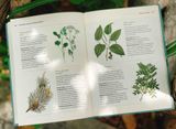  THE GARDENER'S COMPANION TO MEDICINAL PLANTS : AN A-Z OF HEALING PLANTS AND HOME REMEDIES 