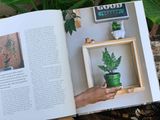  HOUSEPLANT PARTY : FUN PROJECTS & GROWING TIPS FOR EPIC INDOOR PLANTS 