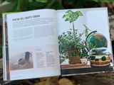  HOUSEPLANT PARTY : FUN PROJECTS & GROWING TIPS FOR EPIC INDOOR PLANTS 