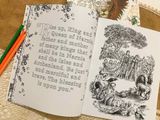 THE CHRONICLES OF NARNIA COLOURING BOOK 