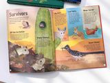  COLORS OF THE WORLD BLUE PLANET, RED PLANET & GREEN PLANET 3 BOOK SET 