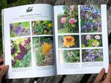  A WOMAN'S GARDEN : GROW BEAUTIFUL PLANTS AND MAKE USEFUL THINGS - PLANTS AND PROJECTS FOR HOME, HEALTH, BEAUTY, HEALING, AND MORE 
