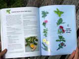  A WOMAN'S GARDEN : GROW BEAUTIFUL PLANTS AND MAKE USEFUL THINGS - PLANTS AND PROJECTS FOR HOME, HEALTH, BEAUTY, HEALING, AND MORE 
