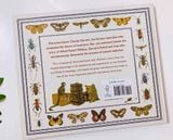  DARWIN'S RIVAL: ALFRED RUSSEL WALLACE AND THE SEARCH FOR EVOLUTION 