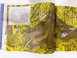  DARWIN'S RIVAL: ALFRED RUSSEL WALLACE AND THE SEARCH FOR EVOLUTION 