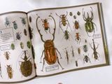  DARWIN'S RIVAL: ALFRED RUSSEL WALLACE AND THE SEARCH FOR EVOLUTION 