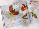  DARWIN'S RIVAL: ALFRED RUSSEL WALLACE AND THE SEARCH FOR EVOLUTION 
