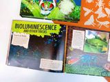  AMAZING WORLD: BUGS : GET TO KNOW 20 CRAZY BUGS 