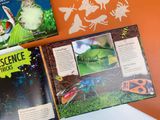  AMAZING WORLD: BUGS : GET TO KNOW 20 CRAZY BUGS 