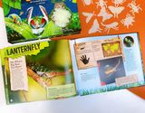  AMAZING WORLD: BUGS : GET TO KNOW 20 CRAZY BUGS 