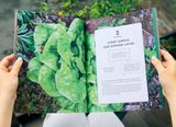  ORGANIC GARDENING FOR EVERYONE 