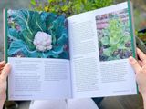 ORGANIC GARDENING FOR EVERYONE 