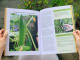 ORGANIC GARDENING FOR EVERYONE 