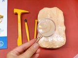  BỘ CÔNG CỤ KHAI QUẬT HOÁ THẠCH - GEOSAFARI FOSSIL EXCAVATION KIT 