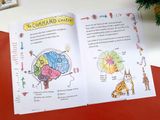  THE GREAT BIG BRAIN BOOK 