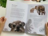  HIDDEN PLANET : AN ILLUSTRATOR'S LOVE LETTER TO PLANET EARTH 