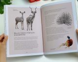  HIDDEN PLANET : AN ILLUSTRATOR'S LOVE LETTER TO PLANET EARTH 