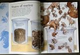  MAMMOTH SCIENCE: THE BIG IDEAS THAT EXPLAIN OUR WORLD 