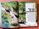  EXTRAORDINARY DINOSAURS AND OTHER PREHISTORIC LIFE VISUAL ENCYCLOPEDIA 