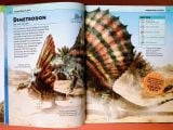  EXTRAORDINARY DINOSAURS AND OTHER PREHISTORIC LIFE VISUAL ENCYCLOPEDIA 