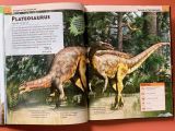  EXTRAORDINARY DINOSAURS AND OTHER PREHISTORIC LIFE VISUAL ENCYCLOPEDIA 