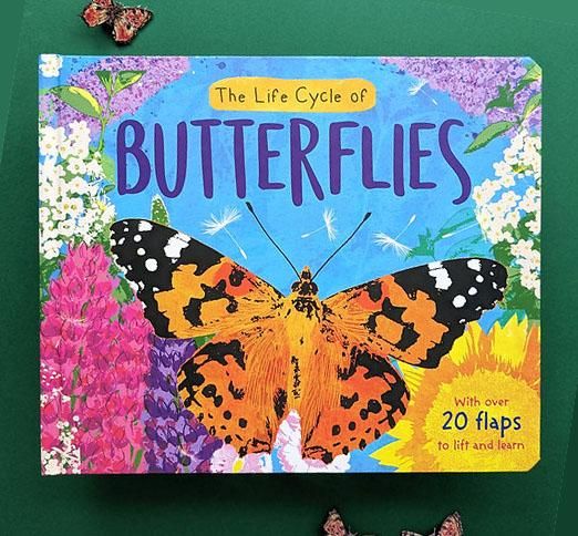  LIFE-CYCLE BOOKS - BUTTERFLIES 