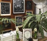  COLLINS BOTANICAL BIBLE: A PRACTICAL GUIDE TO WILD AND GARDEN PLANTS 