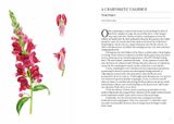  A SHORT HISTORY OF FLOWERS 