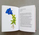  A SHORT HISTORY OF FLOWERS 