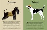  101 DOGS : AN ILLUSTRATED COMPENDIUM OF CANINES 