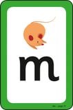  ABC FLASH CARDS 