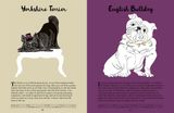  101 DOGS : AN ILLUSTRATED COMPENDIUM OF CANINES 