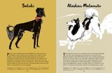  101 DOGS : AN ILLUSTRATED COMPENDIUM OF CANINES 