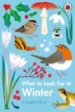  WHAT TO LOOK FOR IN EVERY SEASON : A LADYBIRD BOOK BOXSET 