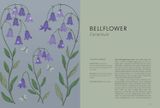  FLORAL FOLKLORE 