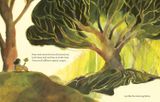  WHAT DO YOU SEE WHEN YOU LOOK AT A TREE? 