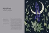  FLORAL FOLKLORE 