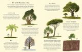  WHAT DO YOU SEE WHEN YOU LOOK AT A TREE? 