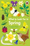  WHAT TO LOOK FOR IN EVERY SEASON : A LADYBIRD BOOK BOXSET 
