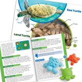  TACTILE TURTLES 