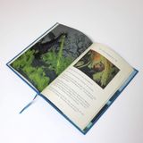  SLEEPING BEAUTY (DISNEY ANIMATED CLASSICS) : A DELUXE GIFT BOOK OF THE CLASSIC FILM - COLLECT THEM ALL! 