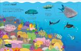  MY VERY IMPORTANT LIFT-THE-FLAP BOOK: ANIMALS 