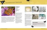  LITTLE LEARNING LABS: BUGS FOR KIDS: 20+ FAMILY-FRIENDLY ACTIVITIES FOR EXPLORING THE AMAZING WORLD OF BEETLES, BUTTERFLIES, SPIDERS, AND OTHER ARTHROPODS 